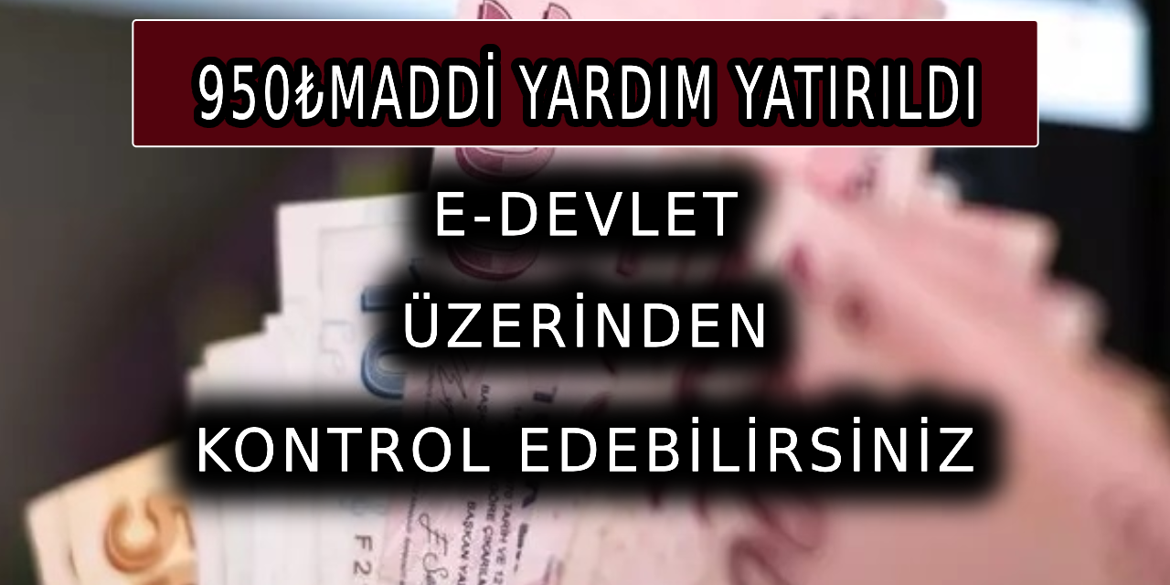 950₺ maddi yardım yatırıldı: E-devlet'ten kontrol edebilirsiniz!