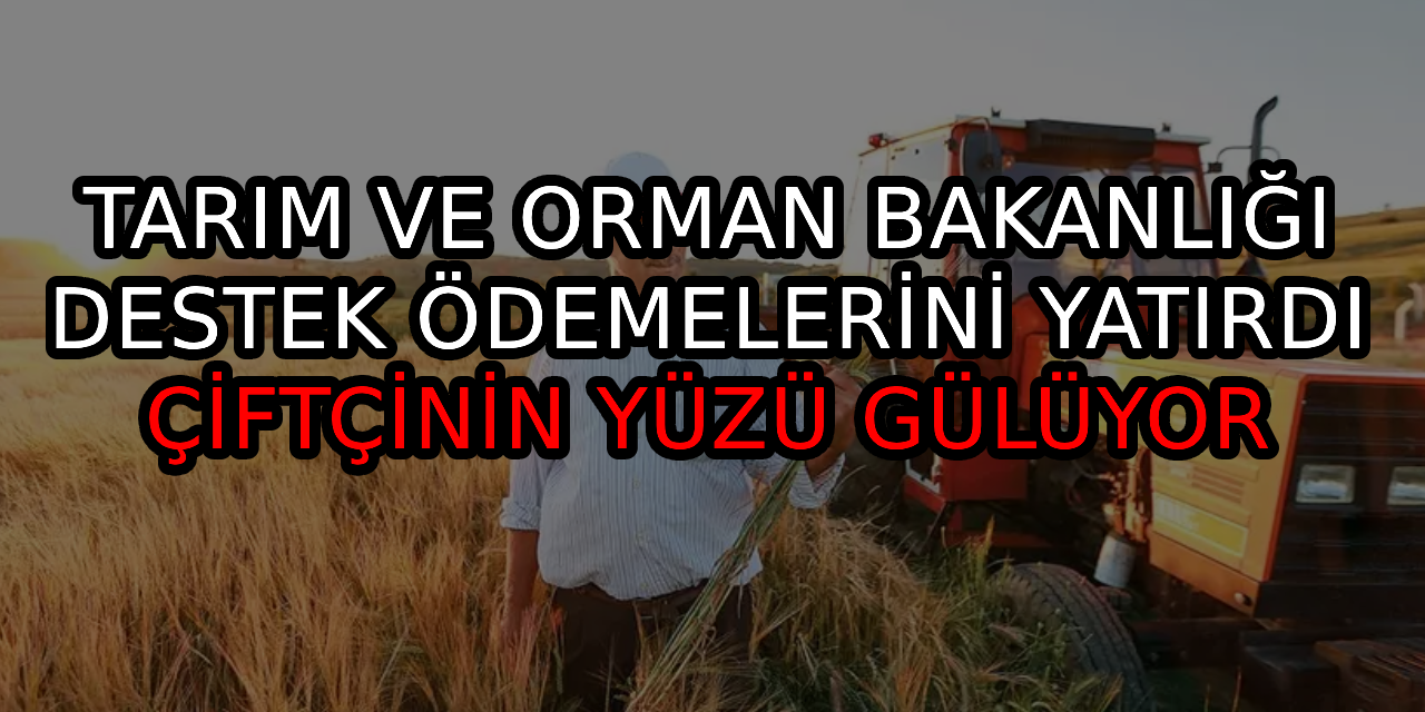 Tarım ve Orman Bakanlığı destek ödemelerini yatırdı: Çiftçinin yüzü gülüyor