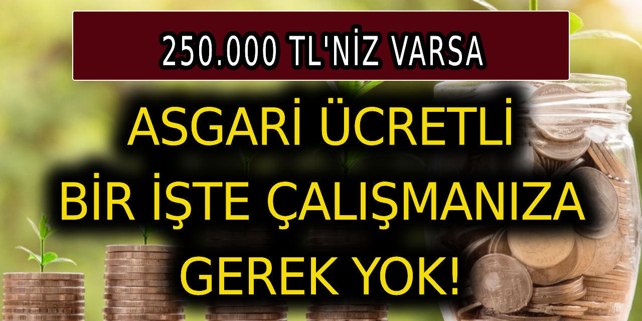 250 bin liranız varsa, asgari ücretli bir işte çalışmanıza gerek yok!