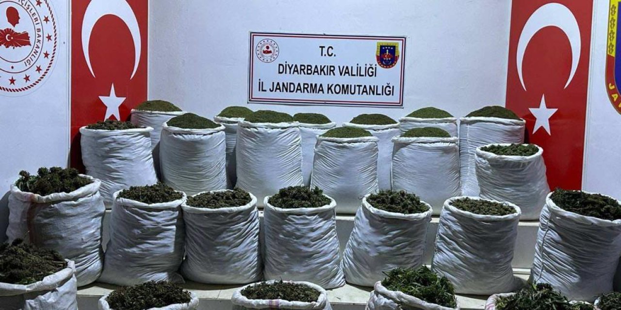 Diyarbakır’da 783 Kilo Esrar, 23 Bin Kök Hint Keneviri Ve Skunk Bitkisi Ele Geçirildi