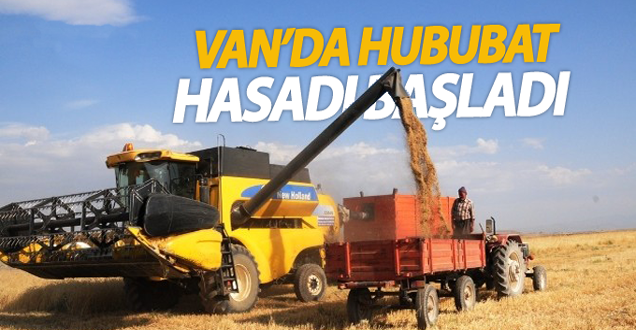 Van'da hububat hasadı başladı!