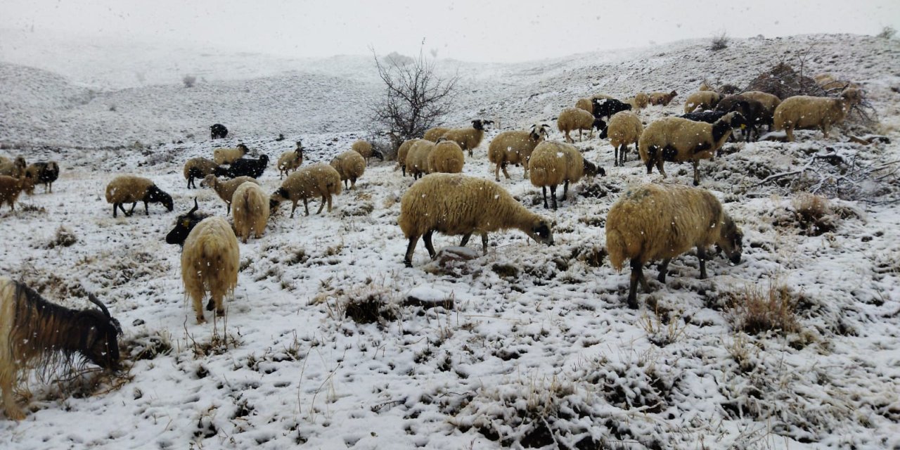 Van Ve Hakkari'de Kar Yağışı (4)