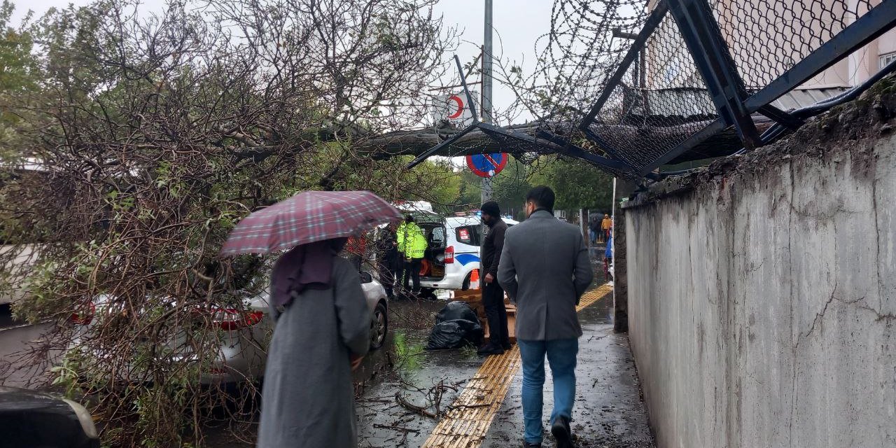 Ağaç, Park Halindeki Otomobilin Üzerine Devrildi