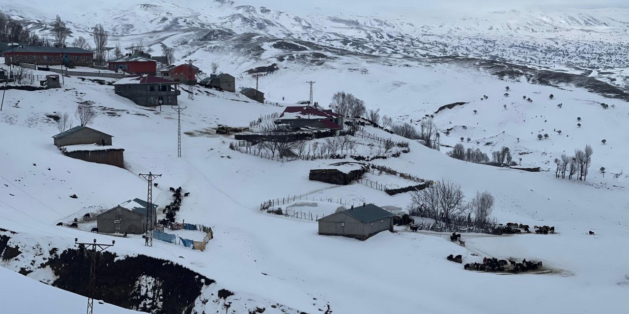 1800 Rakımdaki Köyde Ev Ve Ahırlar Kara Gömüldü