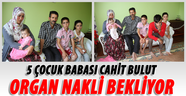 5 Çocuk Babası Hasta, Organ Nakli Bekliyor