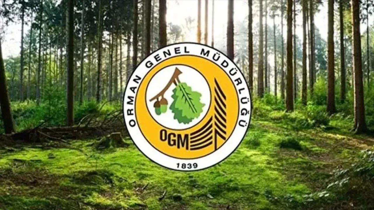 Orman Genel Müdürlüğü 124 personel alacak: Başvurular başladı