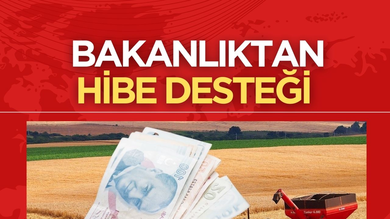 Tarım ve Orman Bakanlığı'ndan çiftçilere hibe desteği