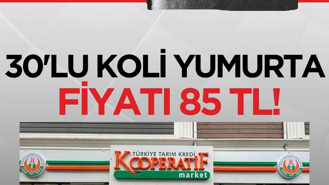 Tarım Kredi'de yumurta kampanyası: 30'lu koli 85 TL!