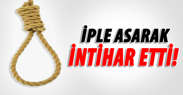 Van'da intihar