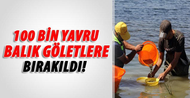 Göletlere 100 Bin Yavru Balık Bırakıldı