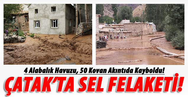 Çatak'ta sel felaketi: 60 ton alabalık telef oldu!