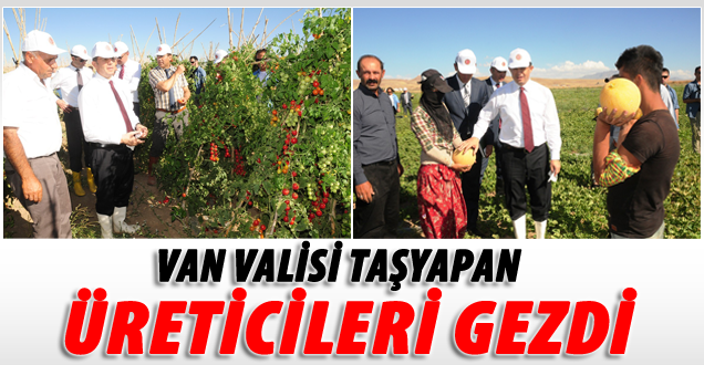 Vali Taşyapan Sebze Üretim Tarlalarını Gezdi
