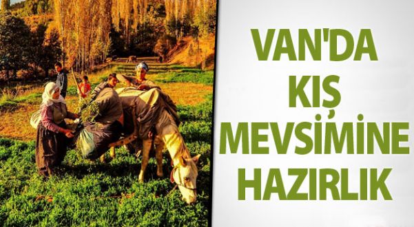 Van'da Kış Hazırlığı