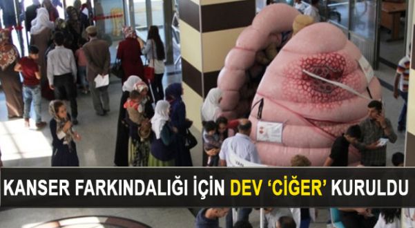 Kanser Farkındalığı İçin Dev 'Ciğer' Kuruldu