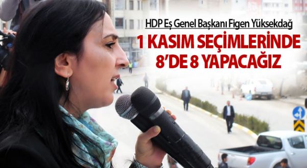 Yüksekdağ: 1 Kasım Seçimlerinde 8'de Sekiz Yapacağız