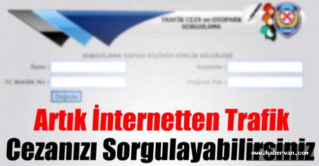 Online EGM Ceza Sorgulama ve Öğrenme Hizmeti - Araç Trafik Cezası