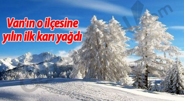 Van'ın o ilçesine yılın ilk karı yağdı