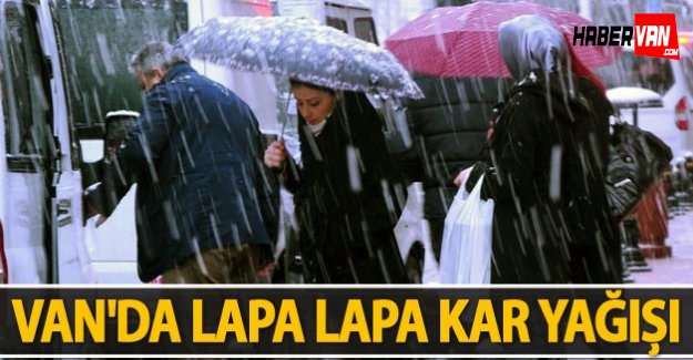 Van'da Lapa Lapa Kar Yağışı