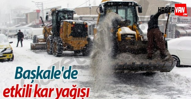 Van'ın Başkale İlçesi'nde Etkili Kar Yağışı