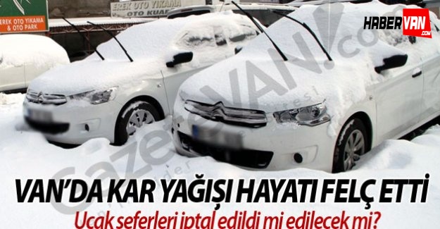 Van'da Kar Yağışı Hayatı Felç Etti