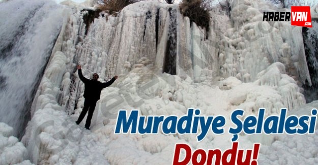Muradiye Şelalesi Dondu!