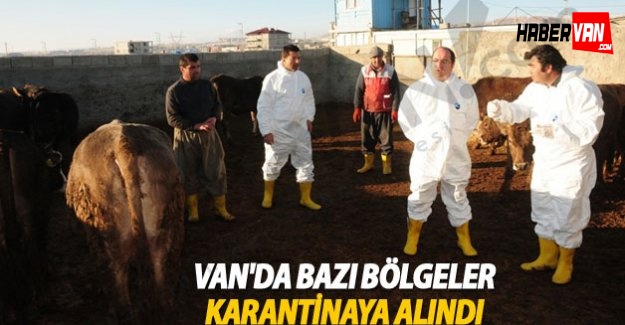 Van'da şap alarmı
