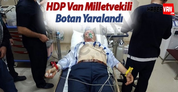 HDP Van Milletvekili Lezgin Botan gazdan etkilendi hastaneye kaldırıldı