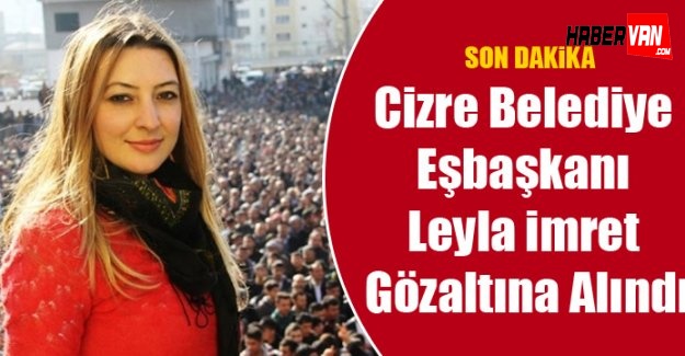 Cizre belediye eşbaşkanı Leyla İmret gözaltına alındı