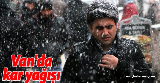 Van'da Kar Yağışı
