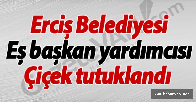 Erciş Belediyesi Eş başkan yardımcısı Çiçek tutuklandı