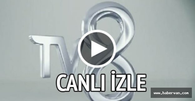 TV8 Canlı izle-TV8Survivor canlı donmandan online seyret!Heyecan fırtınası başlıyor