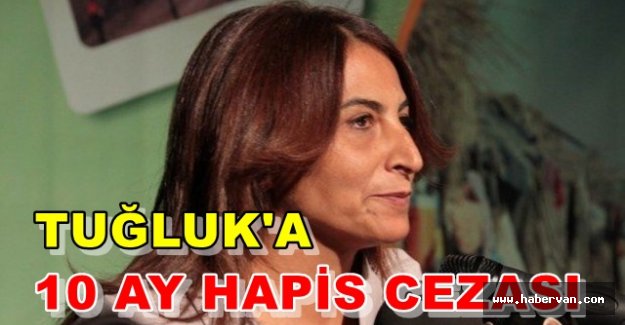 Eski Van Milletvekili Aysel Tuğluk'a hapis şoku!