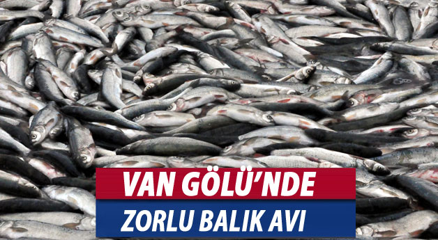 Van Gölü'nde Zorlu ve Zevkli Balık Avı