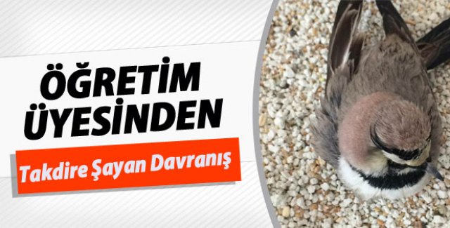 Öğretim Görevlisinden örnek davranış