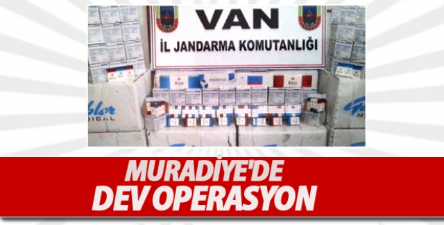 Muradiye'de Operasyon-Son dakika van haberleri
