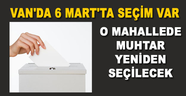 Van'ın o mahallesinde 6 Mart'ta tekrar seçim var - Van Haber