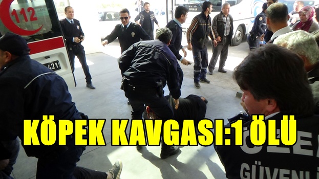 Karaman'da köpek kavgası neticesinde Hacı Mehmet Sayman öldü!