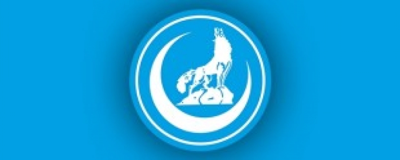 Ülkü Ocaklarından Van Atağı