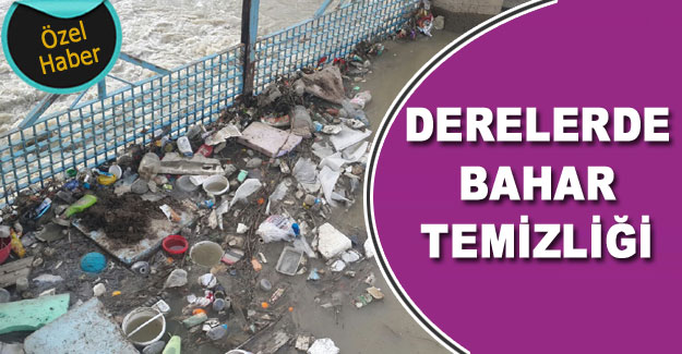 Büyülşehir Dere Temizliğine başladı - Van Haber