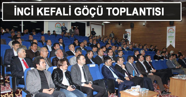 Van'da İnci Kefali göçü toplantısı yapıldı