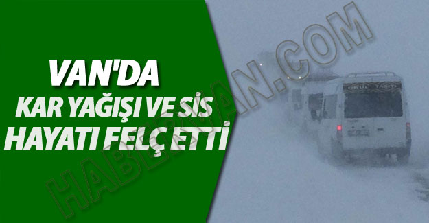 Bahçesaray'da Kar Yağışı Hayatı Durma Noktasına Getirdi