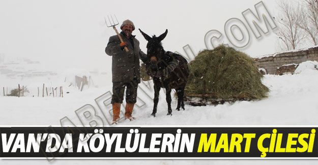 Van'da Kar Çilesi