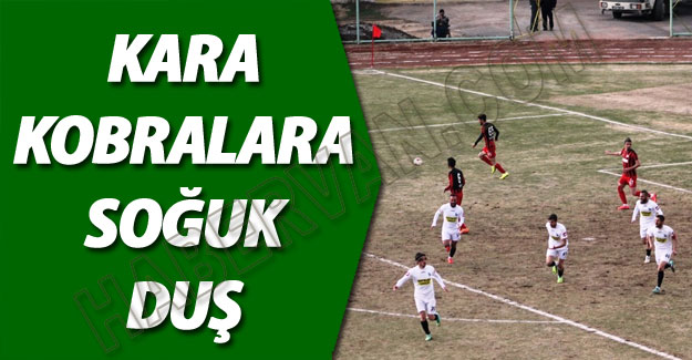 Van Büyükşehir Belediyespor yenildi