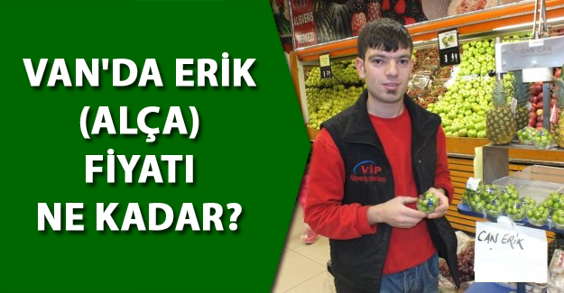Van'da Eriğin (alça) kilosu ne kadar?