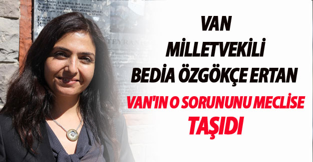 Ertan Van'ın o sorunu Meclise Taşıdı