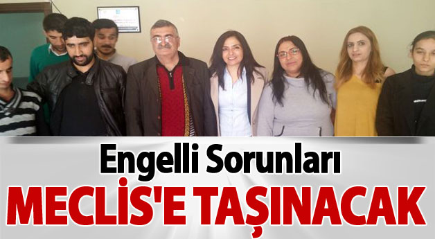 Van Milletvekili Engelli sorunları Meclis'e taşınacak (Van Haber)