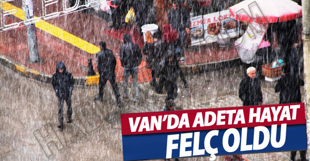 Van'da Yoğun Kar Yağışı