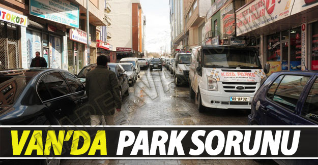 Van'da Park Sorunu