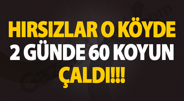 Koyun hırsızları bu köye dadandı