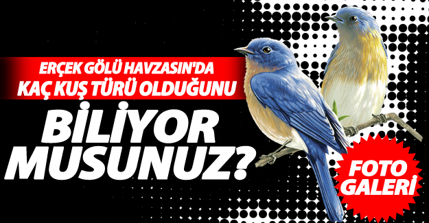 Erçek gölü havzası'nda kaç kuş türü olduğu açıklandı
